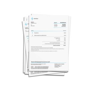 Estonia electricity bill PSD Template