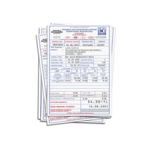 Türkiye, Istanbul water bill PSD Template