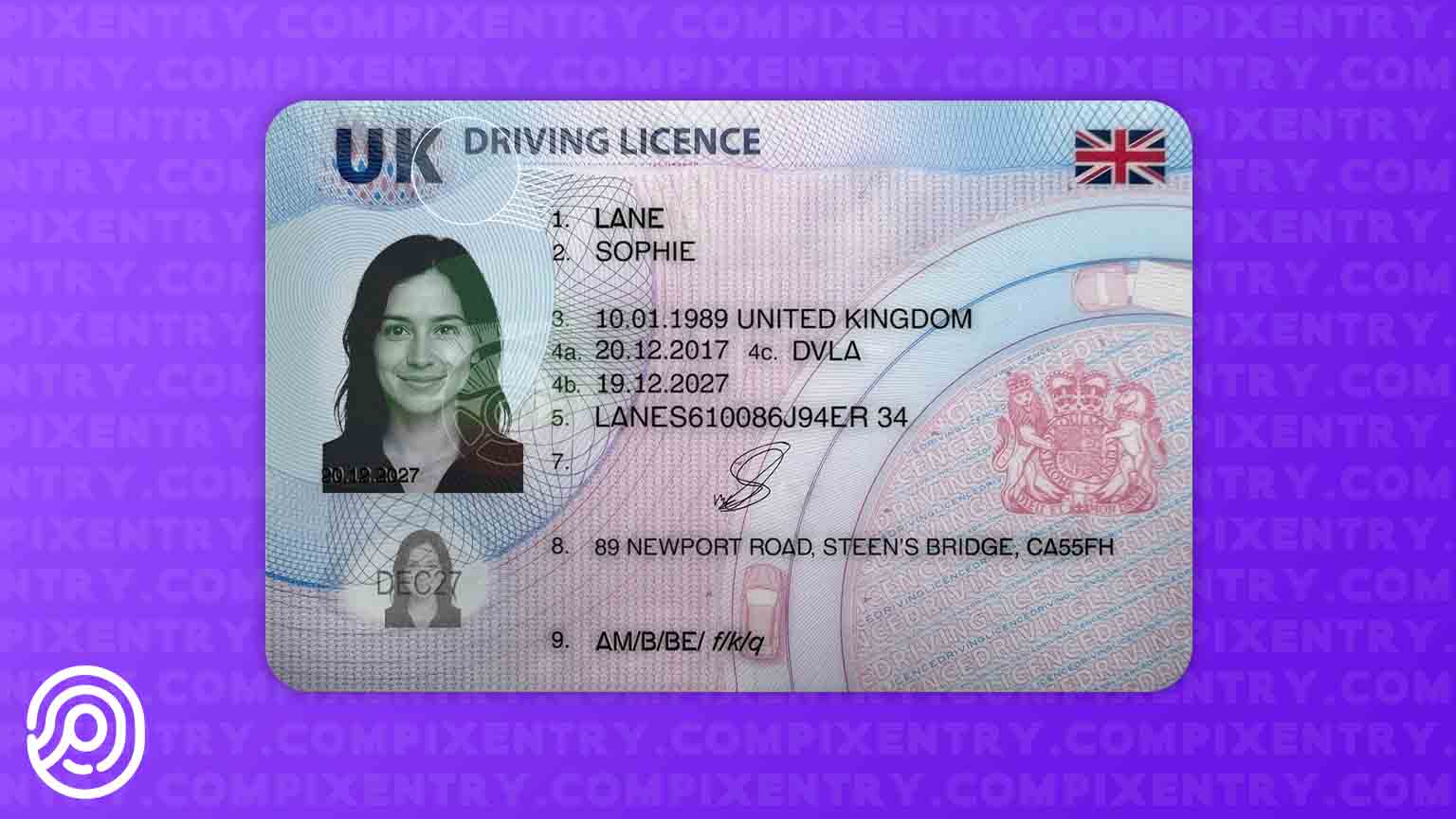 UNITED KINGDOM DRIVING LICENCE