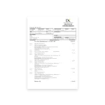 Germany bank Statement Psd Template