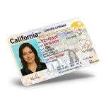 California Driving License PSD Template