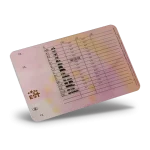 Estonia Driving License PSD Template